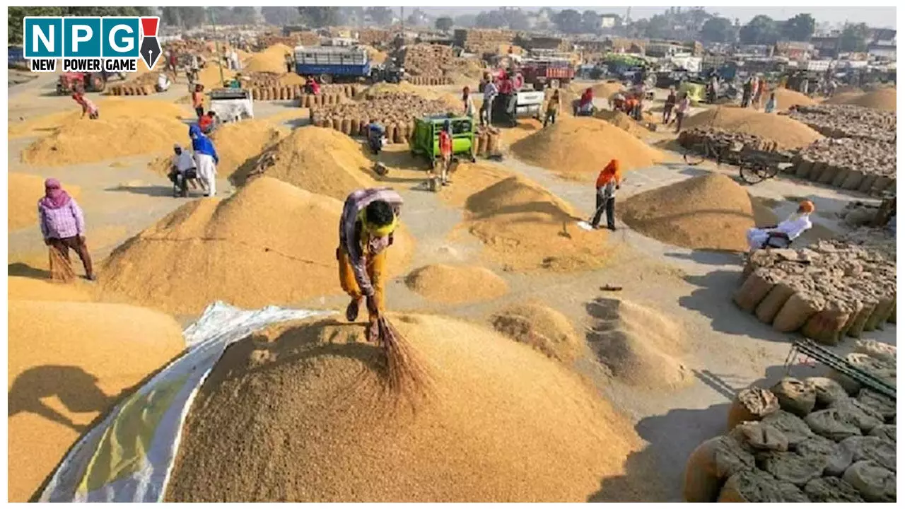 CG News: CG Paddy प्रोक्योरमेंट 2025: छत्तीसगढ़ में अब तक 121 लाख मीट्रिक टन धान की खरीदी, 22 लाख किसानों को 25549 करोड़ का भुगतान