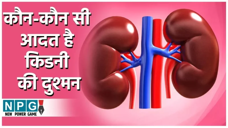 Common Habits That Damage Your Kidneys: ज्यादा नमक ही नहीं, कम सोने और ज्यादा तनाव लेने की आदत भी है किडनी की दुश्मन,जाने और कौन हैं लिस्ट में…