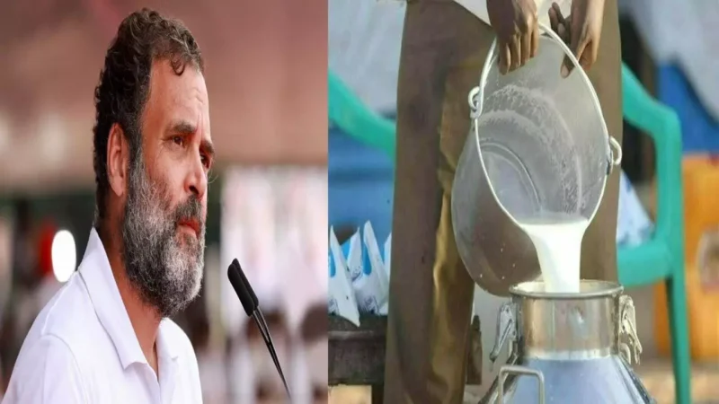 Rahul Gandhi News: राहुल गांधी के बयान से सदमे में आया युवक, घबराहट में छूटी दूध से भरी बाल्टी, खटखटाया कोर्ट का दरवाजा