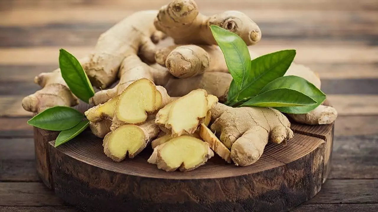 Side Effects Of Ginger: हर दिन इतने ग्राम से ज्यादा अदरक का इस्तेमाल बढ़ा सकता है परेशानियां, जानिए किन लोगों को है ज्यादा खतरा…