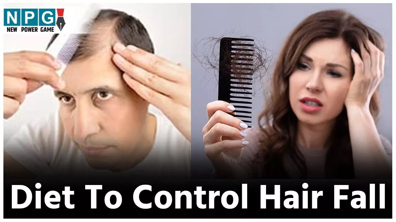 Diet To Control Hair Fall: तेल के फेर में न रहें,बालों का झड़ना रोकने के लिए डाइट में तुरंत शामिल करें ये चीज़ें, पक्का रुकेगा हेयर फाॅल…