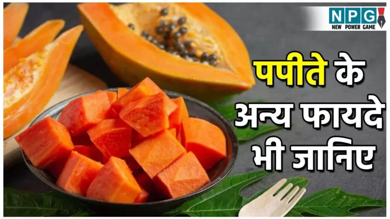 Is Papaya Good For Diabetes: क्या डायबिटीज़ के पेशेंट्स पपीता खा सकते हैं? खाएं तो कितना? पपीते के अन्य फायदे भी जानिए…