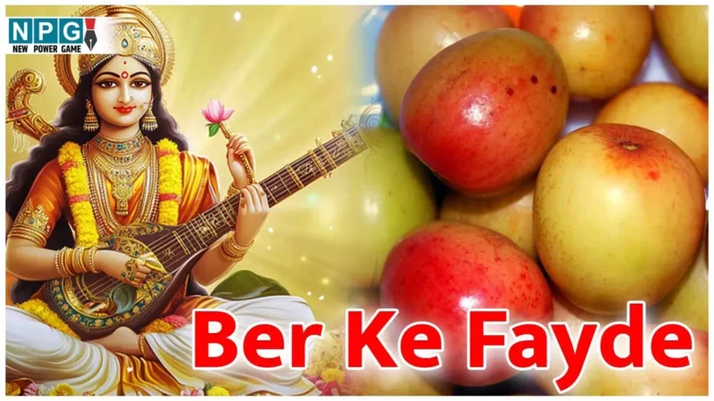 Ber Ke Fayde: माँ सरस्वती को खूब भाते हैं भोग में बेर,आपकी बेटी के लिए भी हैं बेहद फायदेमंद, जानिये बेर के कमाल के फायदे…
