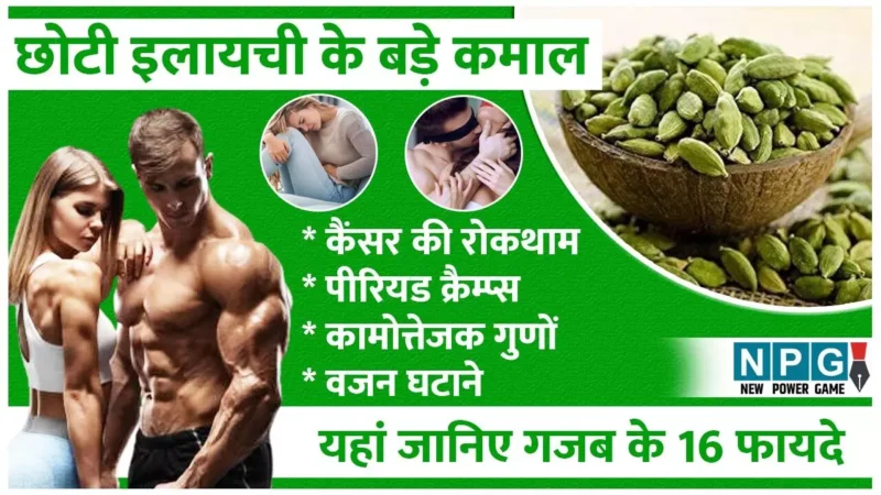 Chhoti Elaichi Khane Ke 16 Fayde: छोटी इलायची महिलाओं के पीरियड से लेकर पुरुषों के कामोत्तेजना बढ़ाने मे मददगार, जानिए इसके 16 फायदे…
