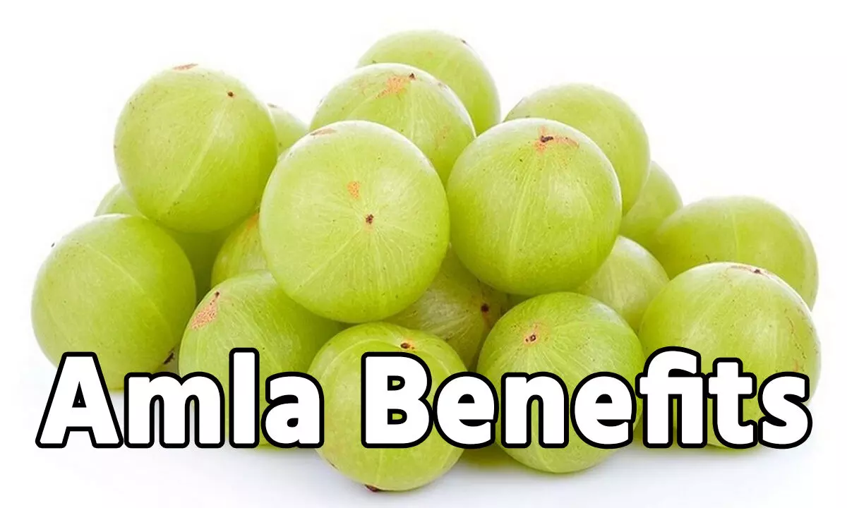 Amla Benefits: ये सुपरफूड है लाखों बीमारियों की देसी दवा, दोगुना बढ़ेगी अंदरूनी ताकत, महिलाओं के लिए है खसकर फायदेमंद.
