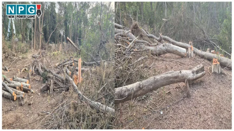 CG News: SDM ने SECL सीएमडी को किया तलब: 3 दिन में हाजिर नहीं, तो होगी एकतरफा कार्रवाई