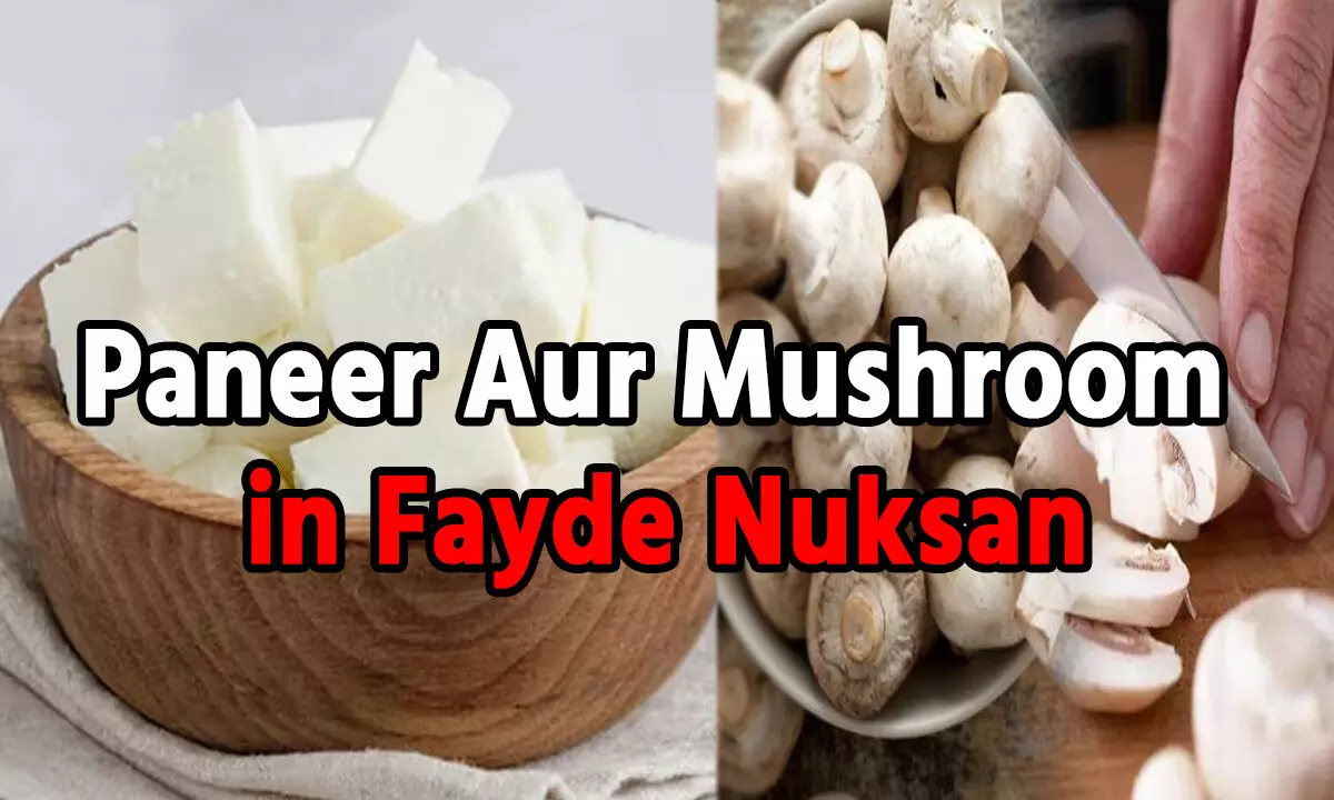 Paneer Aur Mushroom in Fayde Nuksan: पनीर या मशरूम..आपके शरीर के लिए कौन है फायदेमंद, और नुकसानदायक, जानिए दोनों के फायदे और नुकसान…