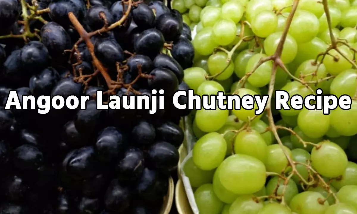 Angoor Launji Chutney Recipe: जोरदार तीखी और थोड़ी खट्टी… हरे और काले अंगूर से ऐसे बनाए लौंजी चटनी, एक बार टेस्टी करते ही बनेगे बार-बार, जानिए…