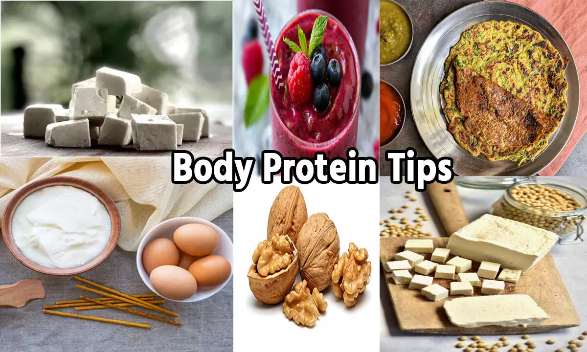 Body Protein Tips: क्या आपके शरीर में हो गई है प्रोटीन की कमी, नाश्ते में शामिल करें ये 8 हेल्दी फूड्स, जानिए…