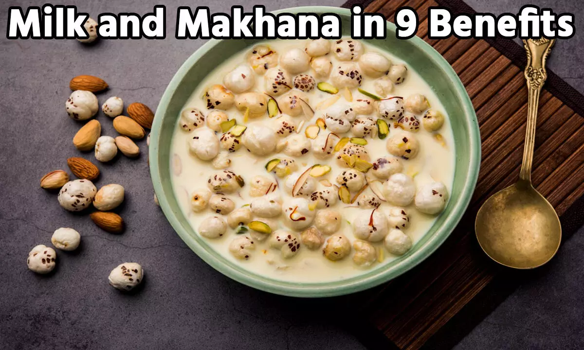 Milk and Makhana in 9 Benefits: मखाना और दूध है सेहत के लिए बेहद फायदेमंद, स्वादिष्ट एवं पौष्टिक सेहत को मिलते है 9 लाभ…