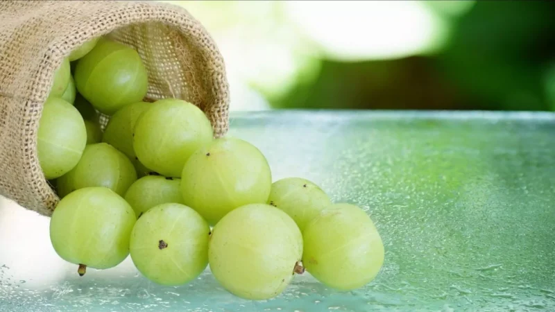 Amla Benefits For Women Diabetes Skin Sair: आंवला: महिलाओं के लिए रामबाण! डायबिटीज से लेकर पीरियड्स तक, जानें कैसे यह बदल देगा आपकी सेहत