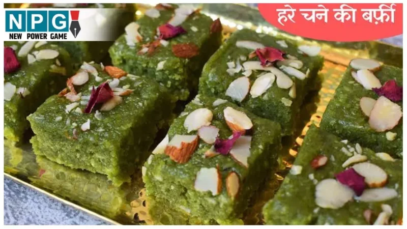 Hare Chane Ki Barfi Recipe: हरे चने के सीज़न में ज़रूर बनाकर देखिए इसकी बर्फी, एकदम हटकर मिलेगा स्वाद…