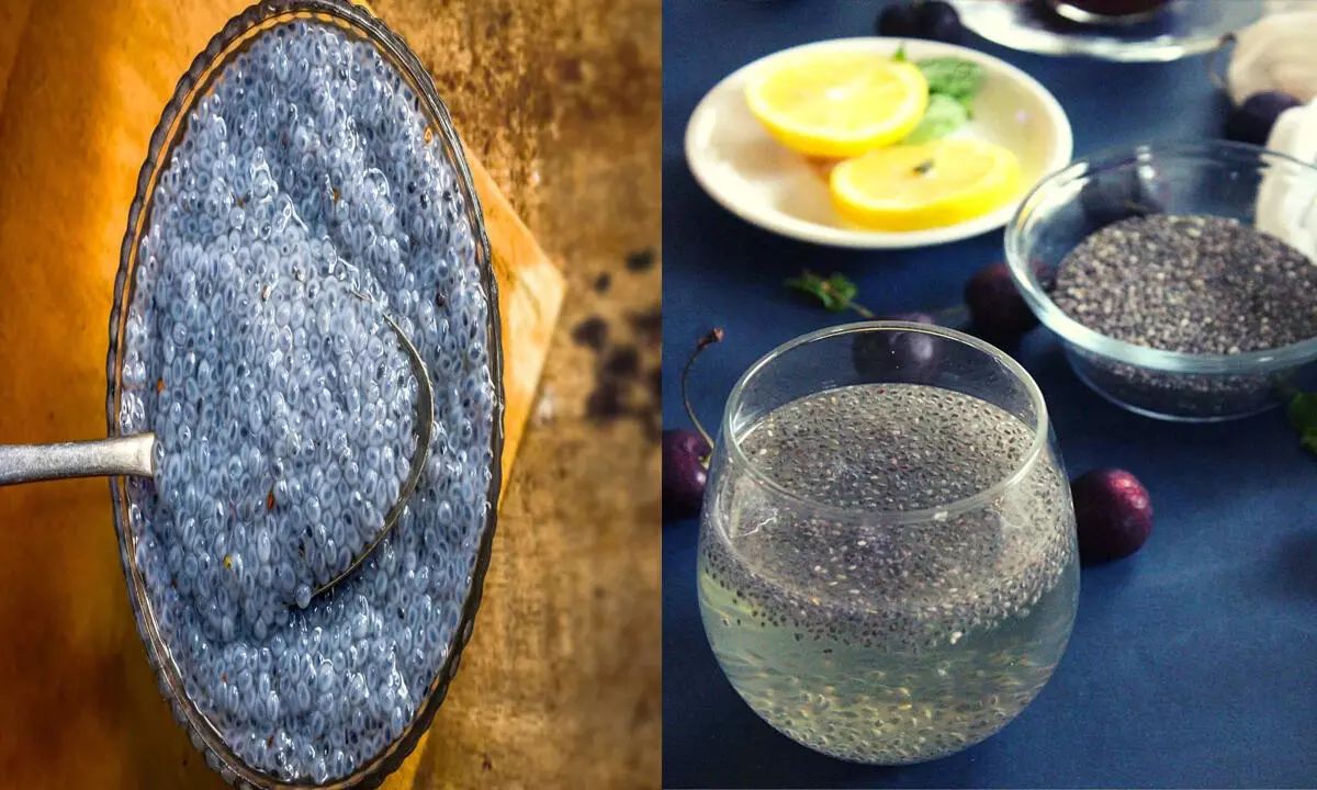 Chia Seeds: क्या है चिया एग? स्वस्थ के लिए बेहतरीन है इसका सेवन, जानिए इसके सुपर फायदे…