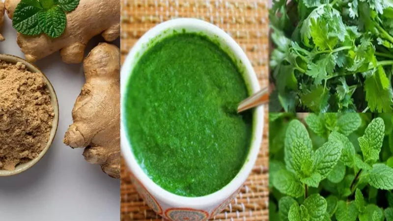 Coriander-mint and ginger chutney: शरीर की एक हर समस्या होगी दूर, धनिया-पुदीने और अदरक की चटनी का करें सेवन, जनिए फायदा…