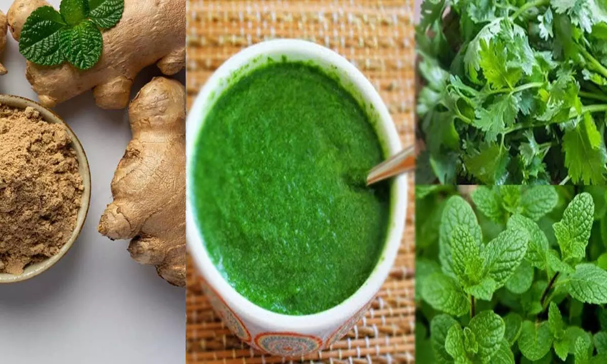 Coriander-mint and ginger chutney: शरीर की एक हर समस्या होगी दूर, धनिया-पुदीने और अदरक की चटनी का करें सेवन, जनिए फायदा…