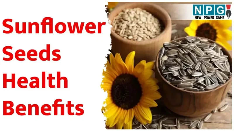 Sunflower Seeds Health Benefits: सूरज की तरह चमकेगा चेहरा, जब तन-मन को मिलेगा सूरजमुखी के बीजों का पोषण, जानिए इनके कमाल के फायदे…
