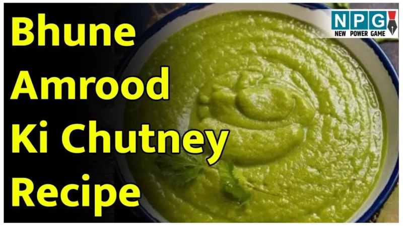 Bhune Amrood Ki Chutney Recipe: सर्दी-जुकाम हो या पेट में दर्द, तुरंत असर दिखाएगी भुने अमरूद की चटनी, पढ़िए ईज़ी रेसिपी…