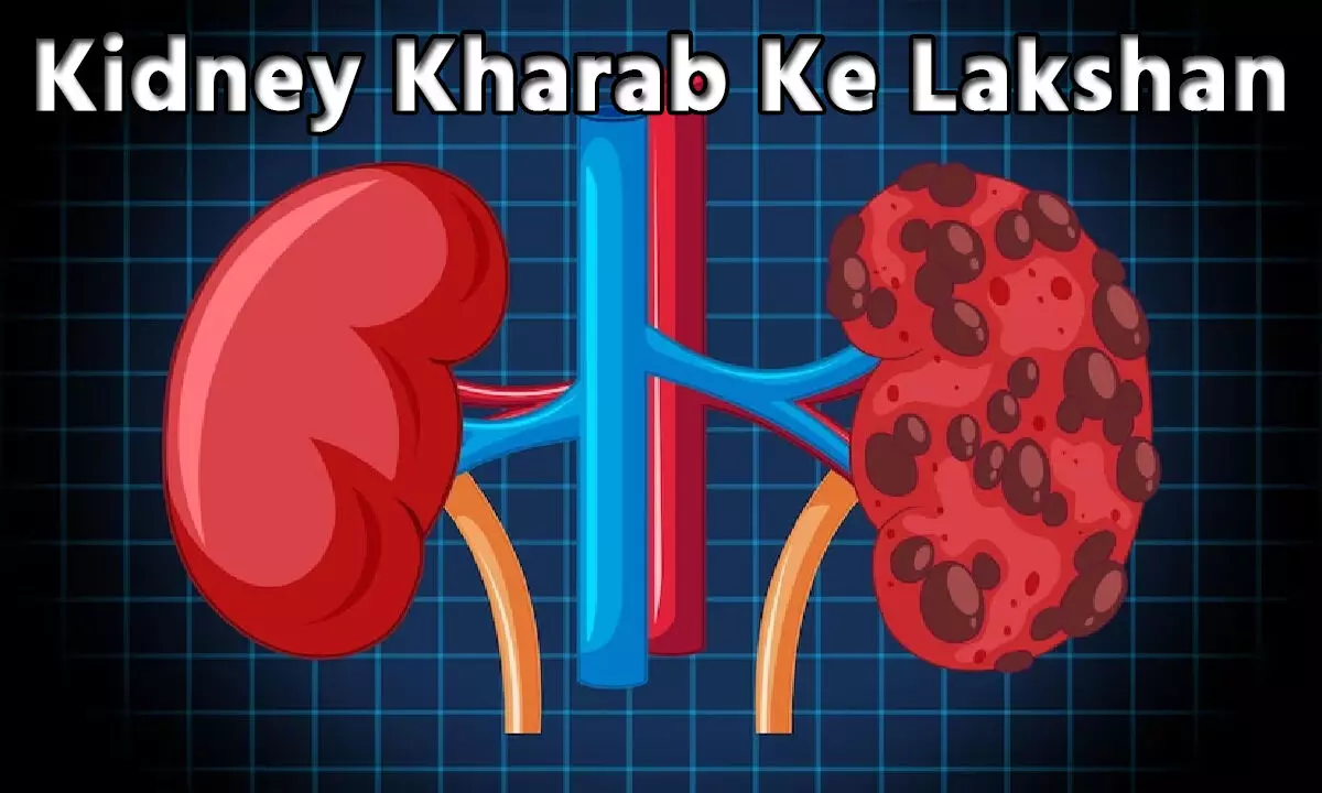Kidney Kharab Ke Lakshan: क्या है किडनी खराब होने के लक्षण, अगर नही जानते है आप, तो तुरंत जान लीजिए 6 खतरनाक कारण…