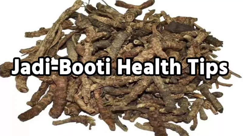 Jadi-Booti Health Tips: सेहत के लिए जादूगर है ये खास जड़ी-बूटी, कई बीमारियों को दूर करने के साथ होते है अनगिनत फायदे…