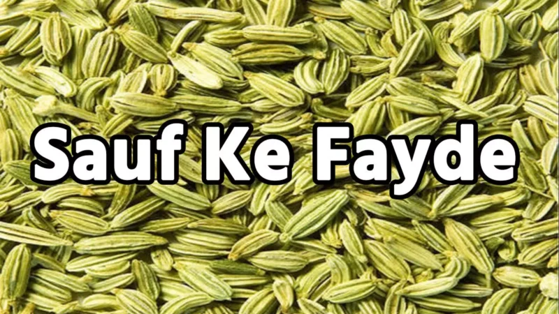 Sauf Ke Fayde: सौंफ चबाने से सेहत को मिलेंगे ये 4 फायदे, पाचन सहित इन समस्या का चुटकियों में होगा हाल…