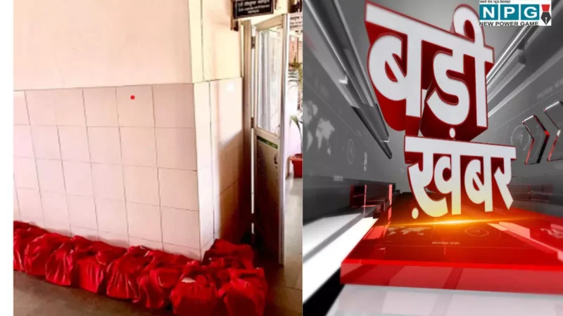 Chhattisgarh News: पटवारी, आरआई, तहसीलदार समेत 14 लोगों के खिलाफ ईओडब्ल्यू की कार्रवाई, कोर्ट में पेश किया गया ढाई हजार का चालान…