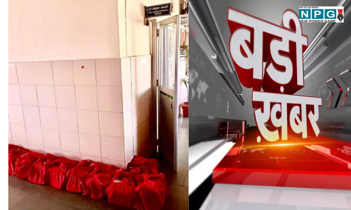 Chhattisgarh News: पटवारी, आरआई, तहसीलदार समेत 14 लोगों के खिलाफ ईओडब्ल्यू की कार्रवाई, कोर्ट में पेश किया गया ढाई हजार का चालान…