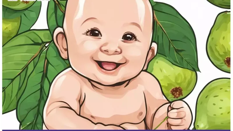 Guava Benefits For Babies: आपके छोटे बच्चों के लिए बेहद फायदेमंद है अमरूद की प्यूरी, इम्यूनिटी बढ़ाने से लेकर मस्तिष्क के विकास तक मिलेंगे अनेक फायदे…