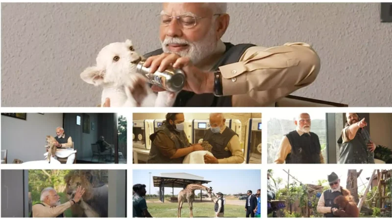 PM Modi visit Vantara: PM मोदी ने वनतारा का किया उद्घाटन, शावकों के साथ खेलते नजर आए