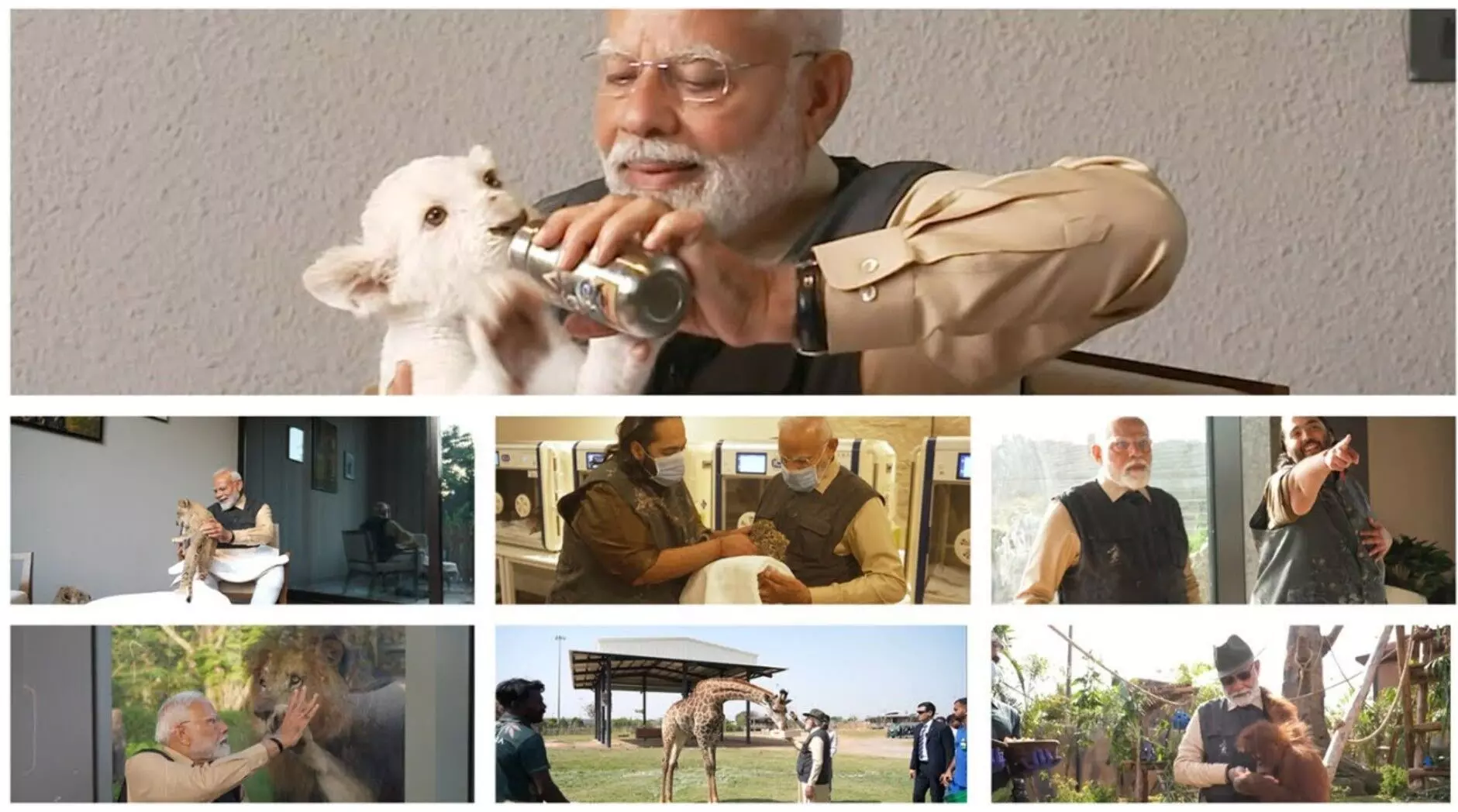 PM Modi visit Vantara: PM मोदी ने वनतारा का किया उद्घाटन, शावकों के साथ खेलते नजर आए