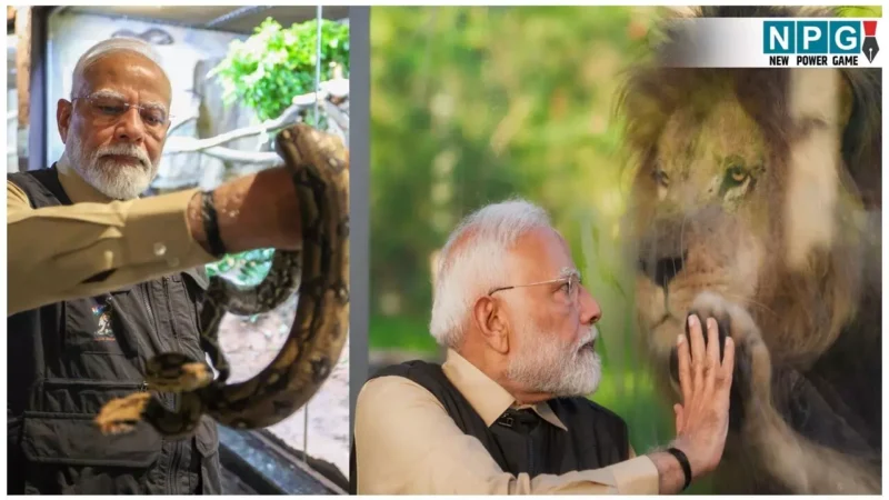 Animal Conservation Center 'Vantara': PM मोदी ने किया पशु संरक्षण केंद्र ‘वनतारा’ का उद्घाटन, अपने हाथों से बाघ, शेर व गैंडा के शावकों को दूध पिलाया…