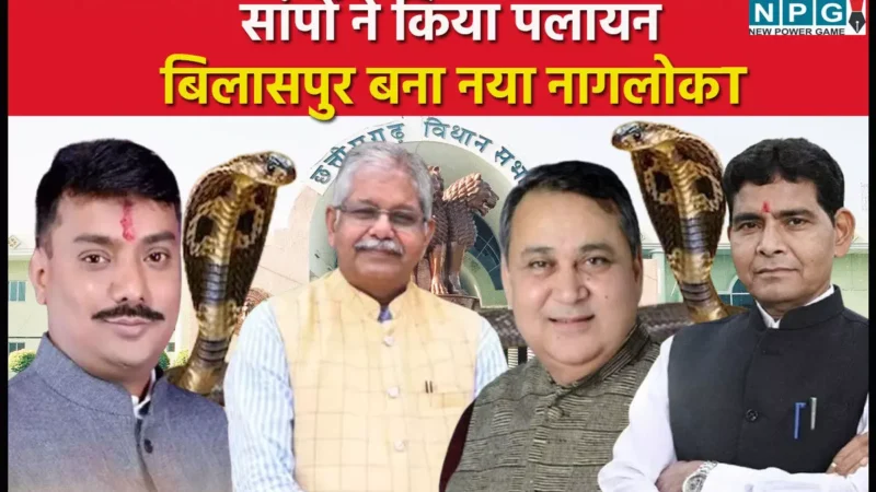 CG Vidhansabha Budget Session 2025: गजब हो गया…जशपुर से सांपों ने किया पलायन, बिलासपुर बना नया नागलोक, सदन में गूंजा मौत के सौदागरों का मामला