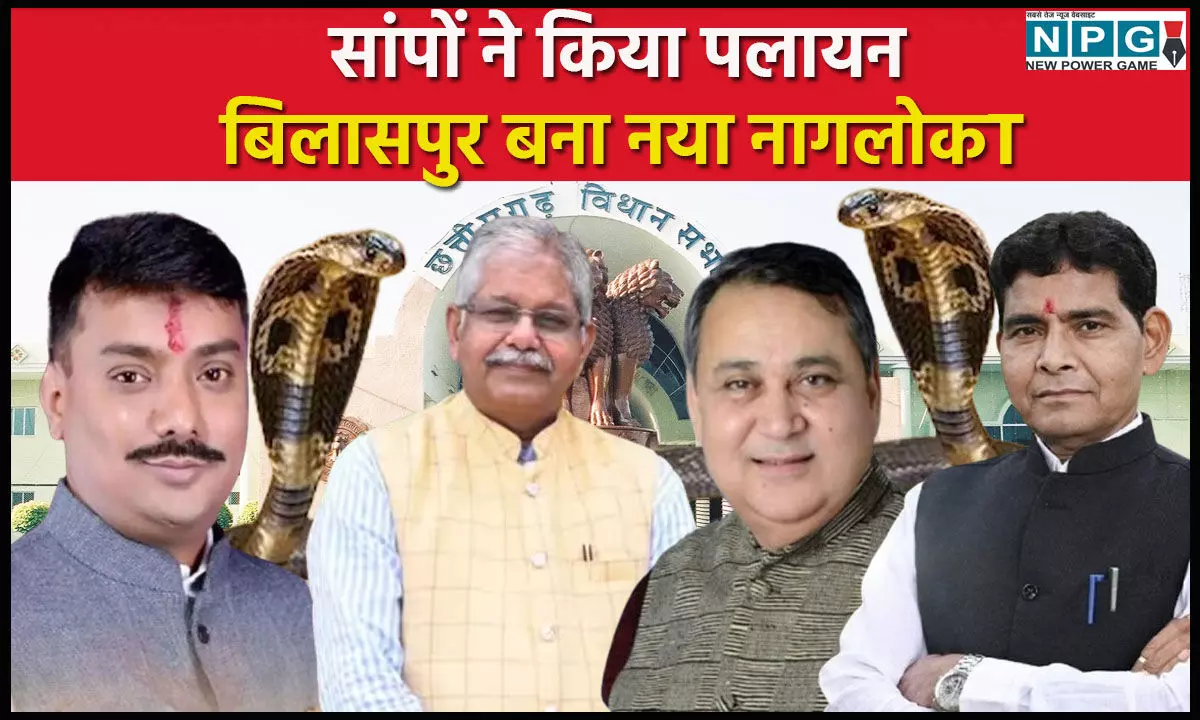 CG Vidhansabha Budget Session 2025: गजब हो गया…जशपुर से सांपों ने किया पलायन, बिलासपुर बना नया नागलोक, सदन में गूंजा मौत के सौदागरों का मामला