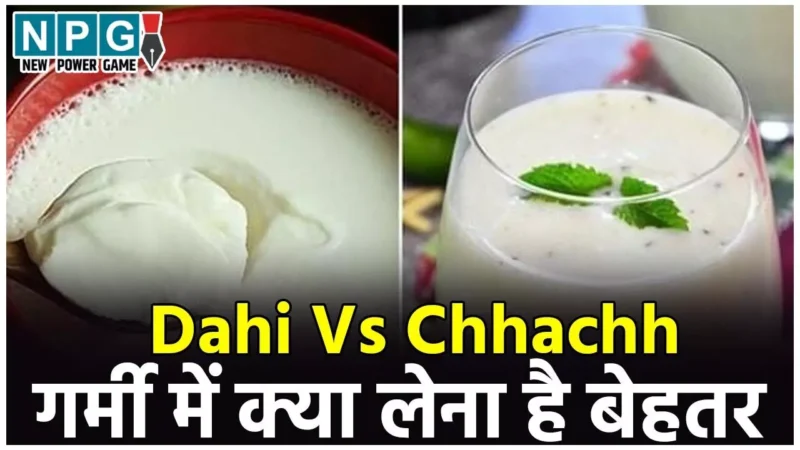 Dahi Vs Chhachh: दही या छाछ, गर्मी में क्या लेना बेहतर? जानिए आयुर्वेद की नज़र से…