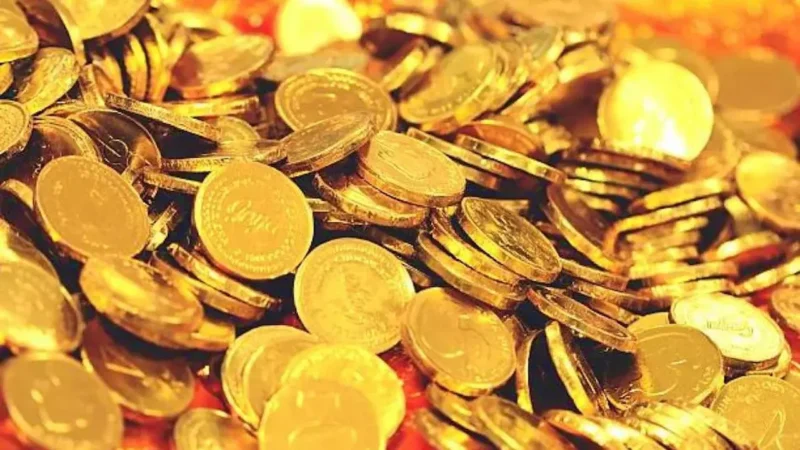 MP Burhanpur Gold Coins: यहाँ मिल रहे मुगलकालीन सोने के सिक्के!, ग्रामीणों ने टॉर्च की रोशनी में खोदे गड्ढे