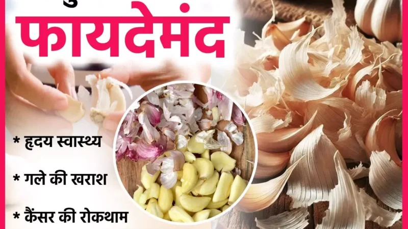 Garlic Peels Benefits And Uses: मत फेंकिए लहसुन के छिलके, ये है बेहद फायदेमंद, हृदय स्वास्थ्य बेहतर करने से लेकर घरेलू क्लीनर बनाने तक जानिए इस्तेमाल के तरीके…