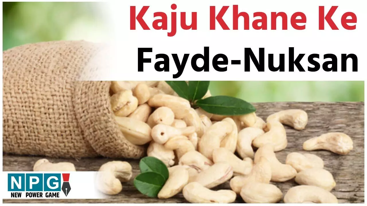 Cashews Benefits And Side Effects: काजू है न्यूट्रिशन का पावर हाउस, लेकिन कुछ लोगों के लिए है ज़हर समान, जानिये काजू के फायदे और नुकसान…