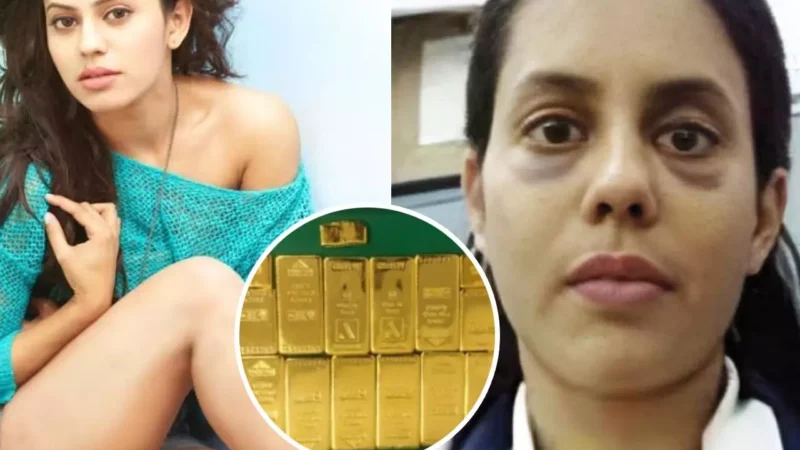 Ranya Rao Gold Smuggling Case: मारे थप्पड़, रखा भूखा…', सोना तस्करी वाली एक्ट्रेस रन्या राव का DRI अधिकारियों पर गंभीर आरोप…