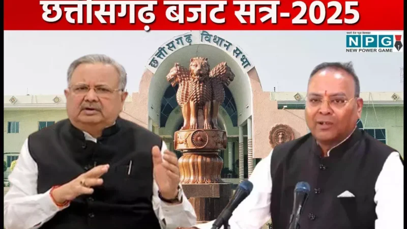 CG Vidhansabha Budget Session 2025: विधानसभा अध्यक्ष रमन सिंह ने अजय चंद्राकर से कहा, जैसी पिच वैसे ही हो रही बैटिंग, आप बीच में क्यों आ रहे