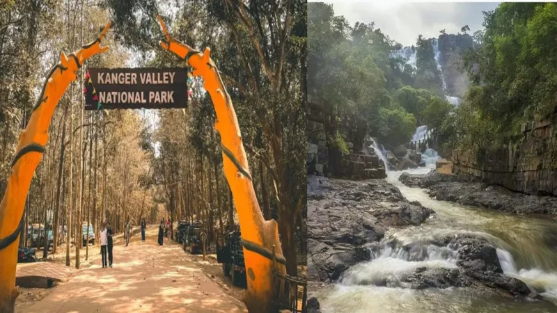 Kanger Valley National Park: बस्तर की खूबसूरती से अब पूरी दुनिया होगी रूबरू, जल्द कांगेर घाटी राष्ट्रीय उद्यान यूनेस्को वर्ल्ड हेरिटेज लिस्ट में हो सकता है शामिल