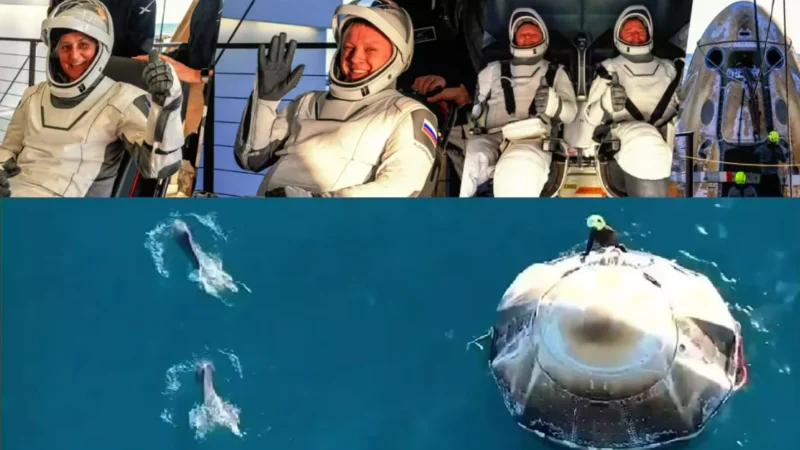 Sunita Williams Return Video: सुनीता विलियम्स की धरती पर हो गई  वापसी! 9 महीने बाद ड्रैगन स्पेसक्राफ्ट से लैंडिंग, डॉल्फिन ने किया स्वागत