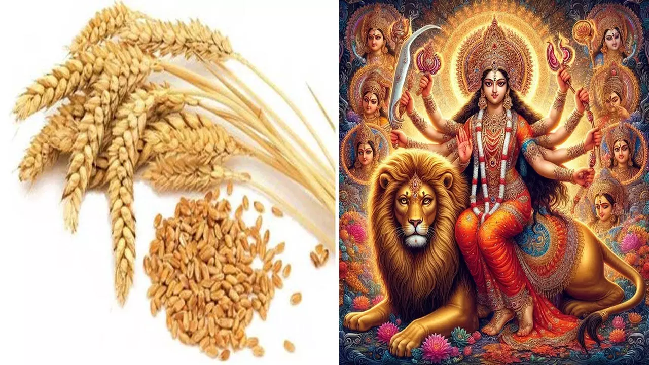 Chaitra Navratri Upay 2025: चैत्र नवरात्रि में जौ से करें खास टोटके, नौकरी और व्यापार में मिलेगी सफलता