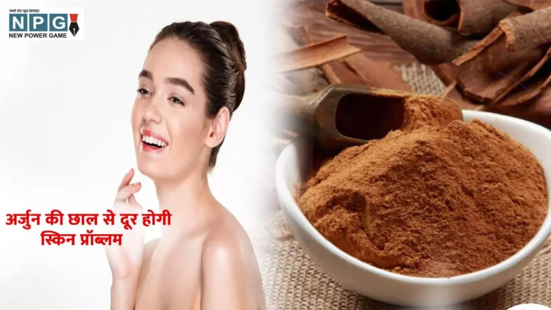 Arjun chhal for skin Care: अर्जुन की छाल से सभी स्किन प्रॉब्लम्स होंगे दूर, जानिए कैसे करें अर्जुन की छाल का इस्तेमाल