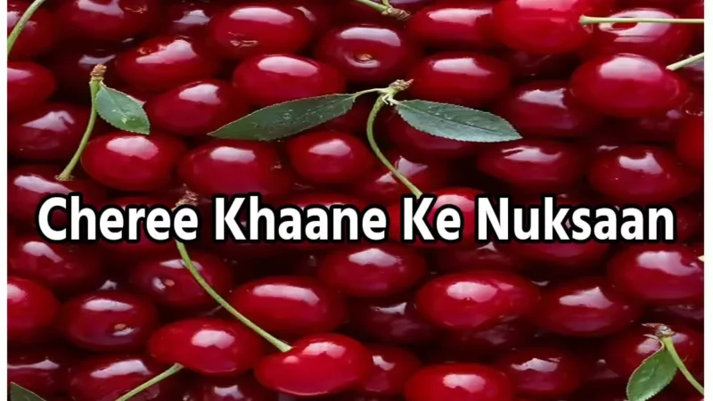 Cheree Khaane Ke Nuksaan: चेरी खाने वाले सावधान! जानिए इसके ये 5 गंभीर नुकसान…