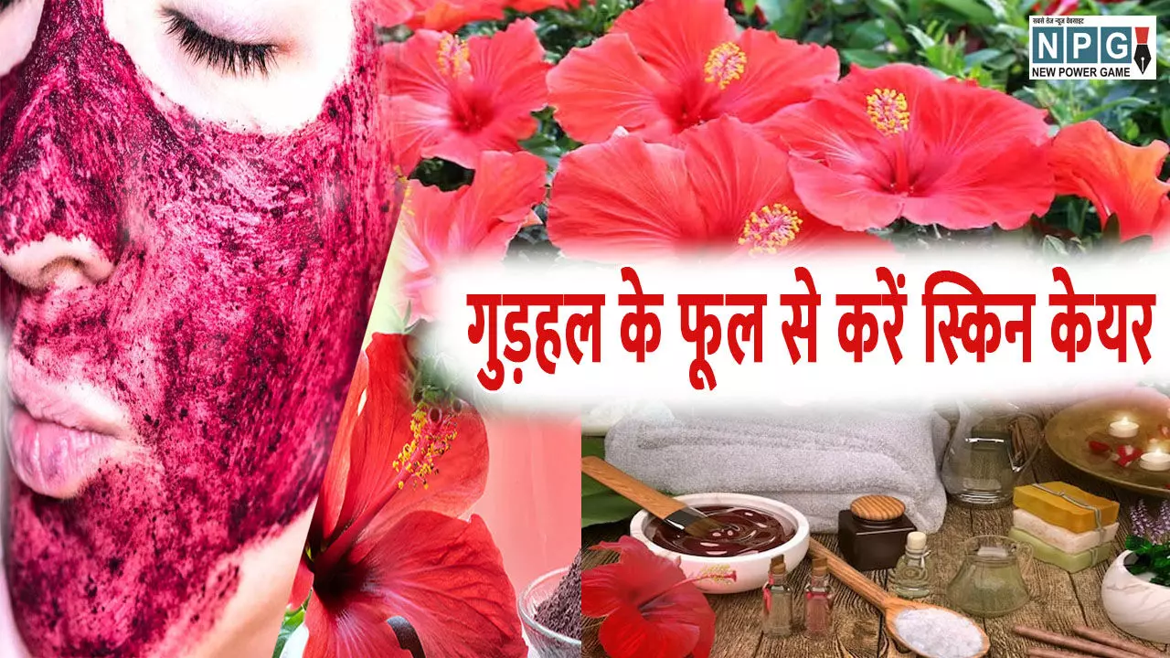 Gudhal Phool Se Skin Care: गुड़हल के फूल से करें स्किन केयर, बिना मेकअप ब्लश करने लगेगा चेहरा