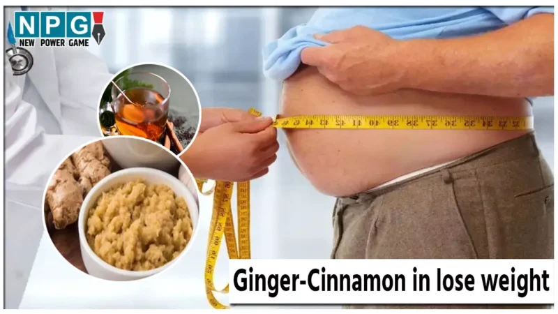 Ginger-Cinnamon in lose weight: नहीं हो रहा है आपका मोटापा कम, तो अपनाएं ये 2 घरेलू उपाय, एक झटके में होगा समाधान दूर…