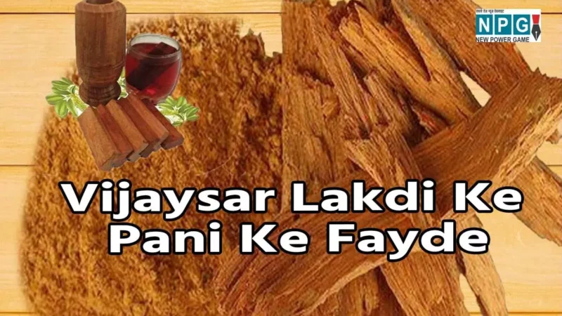 Vijaysar Lakdi Ke Pani Ke Fayde: रात को भिगोकर सुबह पिएं इस चमत्कारी लकड़ी का पानी, बड़े-बड़े समस्या तुरंत होगी दूर…