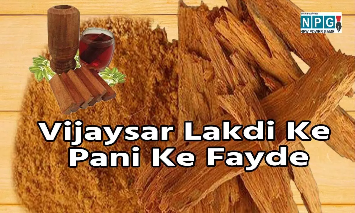 Vijaysar Lakdi Ke Pani Ke Fayde: रात को भिगोकर सुबह पिएं इस चमत्कारी लकड़ी का पानी, बड़े-बड़े समस्या तुरंत होगी दूर…