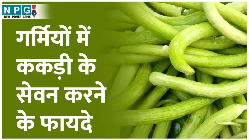 Kakdi Ke Benefits: गर्मियों में आपको डिहाइड्रेशन से बचा कर रखेगी ककड़ी, हाई बीपी और डायबिटीज में भी फायदेमंद, जानिए ककड़ी के कमाल के फायदे