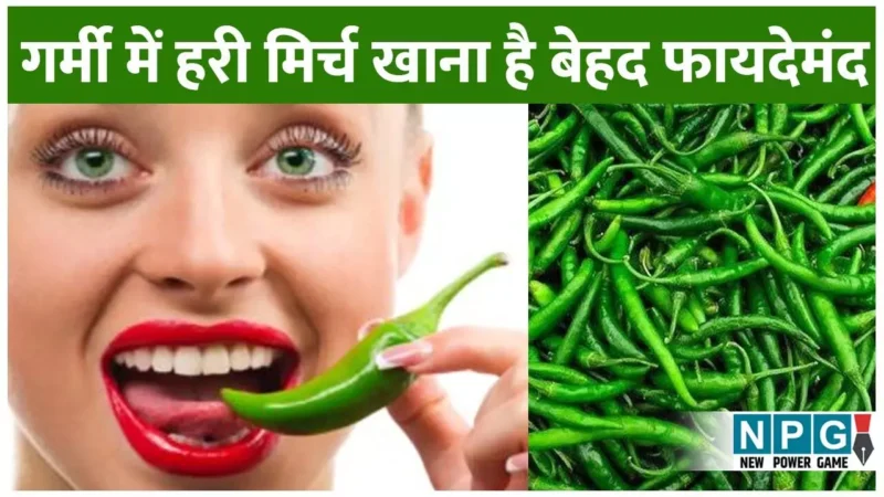 Hari Mirch Benefits: गर्मी में हरी मिर्च खाना है बेहद फायदेमंद, लू से बचाए, मेटाबॉलिज्म और इम्यूनिटी भी बढ़ाए, जानिये फायदे…