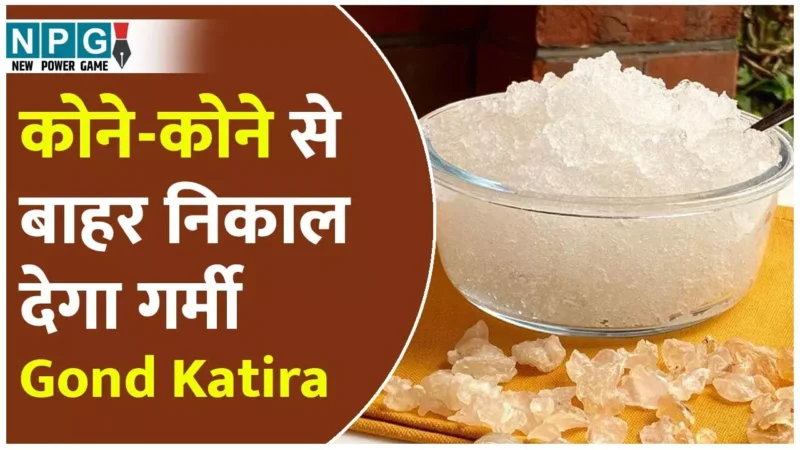 Gond Katira Benefits In Summer: शरीर के कोने-कोने से गर्मी बाहर निकाल देगा गोंद कतीरा, जानिए गर्मियों में इसके जबरदस्त फायदे…